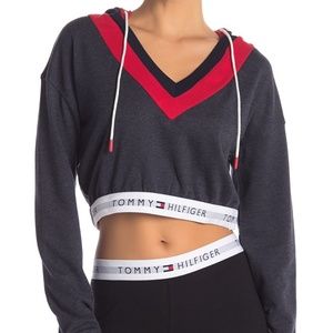 Tommy Hilfiger Retro Cropped Hoodie